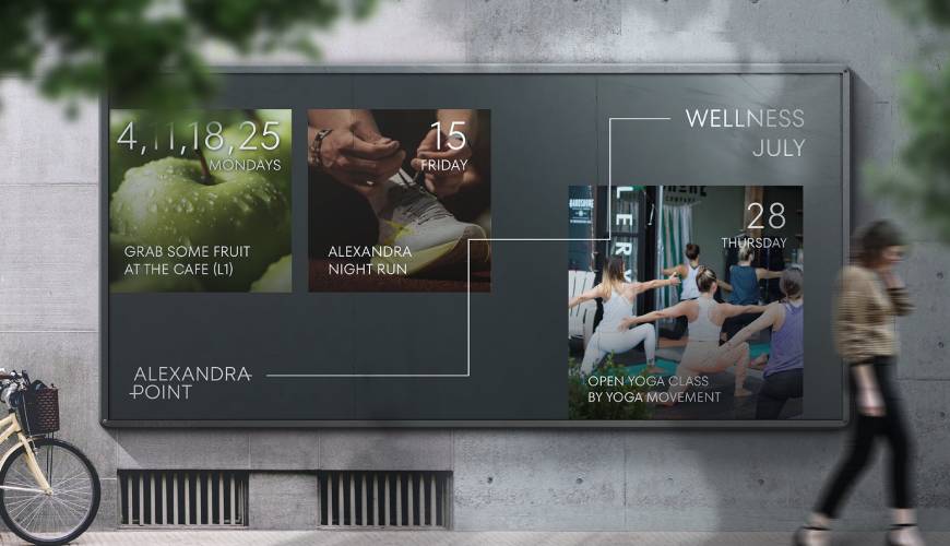 新兴区画册设计公司如何进行品牌审核