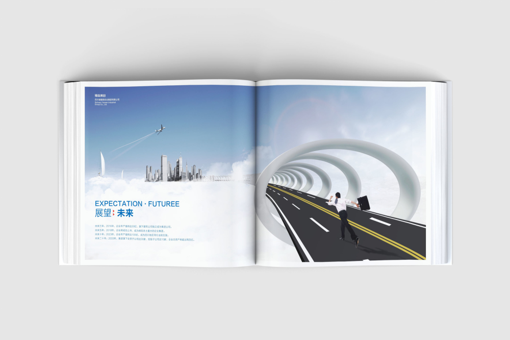 新兴区画册设计
